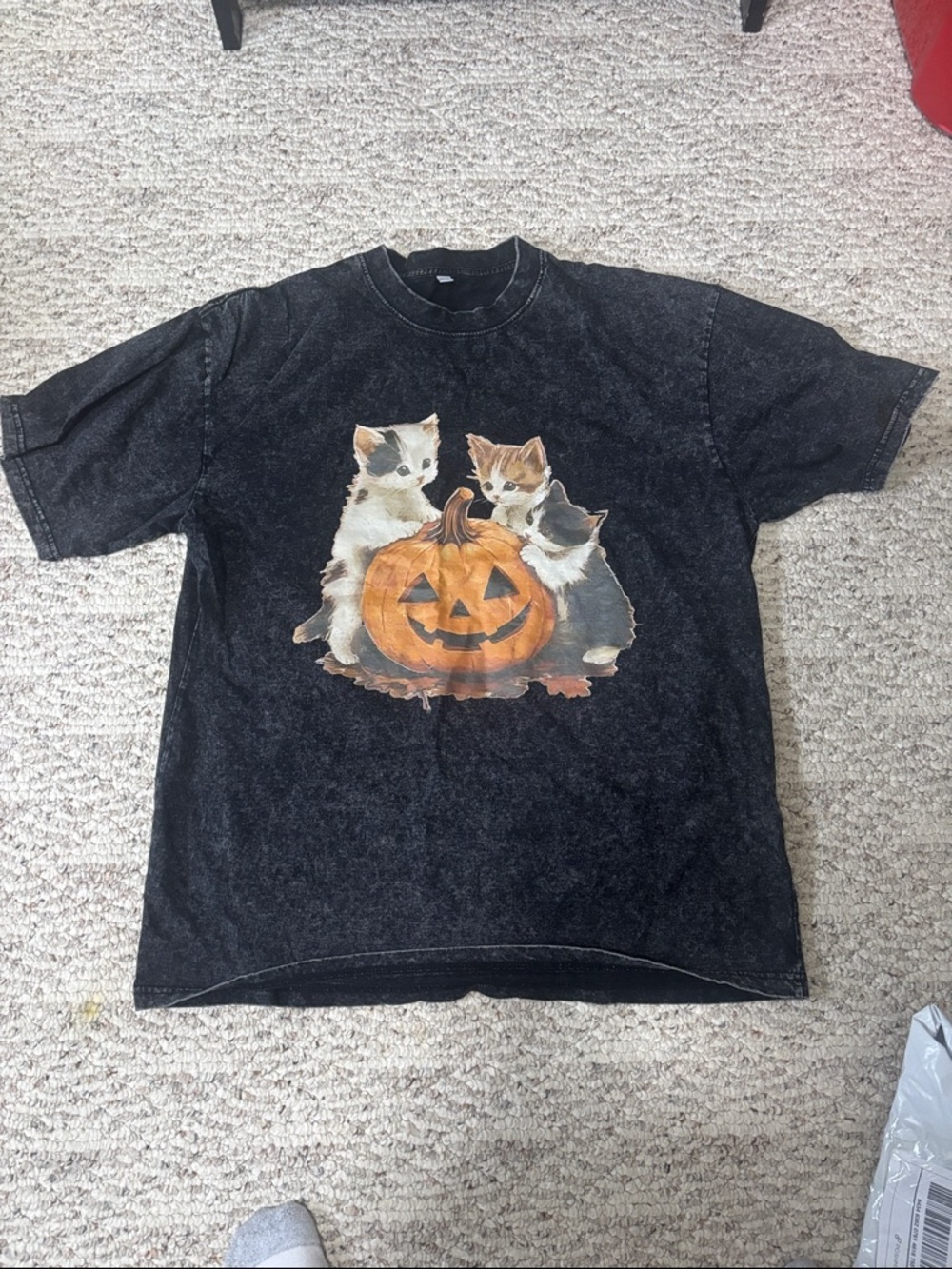 Black Halloween Cat Graphic Tee with Pumpkin